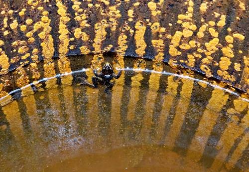 DSC03506
Фотограф: Сергей Буркацкий

Просмотров: 479
Комментариев: 0