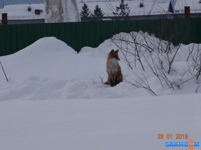 DSC09517

Просмотров: 1375
Комментариев: 0