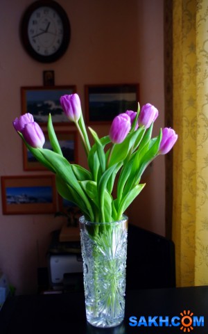 025-к-м

Просмотров: 779
Комментариев: 0