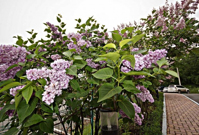 ***
Фотограф: Сергей Буркацкий

Просмотров: 1121
Комментариев: 0