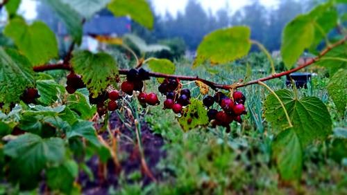 DSC00854
Фотограф: Сергей Буркацкий

Просмотров: 497
Комментариев: 0