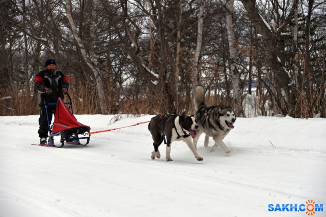 DSC_0284

Просмотров: 98
Комментариев: 0