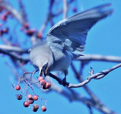 DSC03861
Фотограф: Сергей Буркацкий

Просмотров: 339
Комментариев: 0