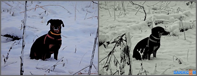 MyCollages

Просмотров: 556
Комментариев: 0