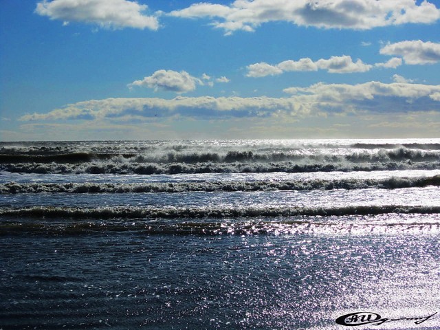 Залив Терпения
Фотограф: alexei1903

Просмотров: 4255
Комментариев: 0