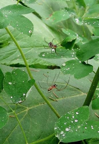 DSC00299
Фотограф: Сергей Буркацкий

Просмотров: 178
Комментариев: 0