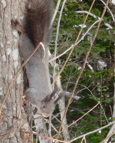 DSC03069
Фотограф: Сергей Буркацкий

Просмотров: 395
Комментариев: 0