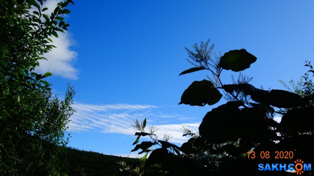 DSC05131