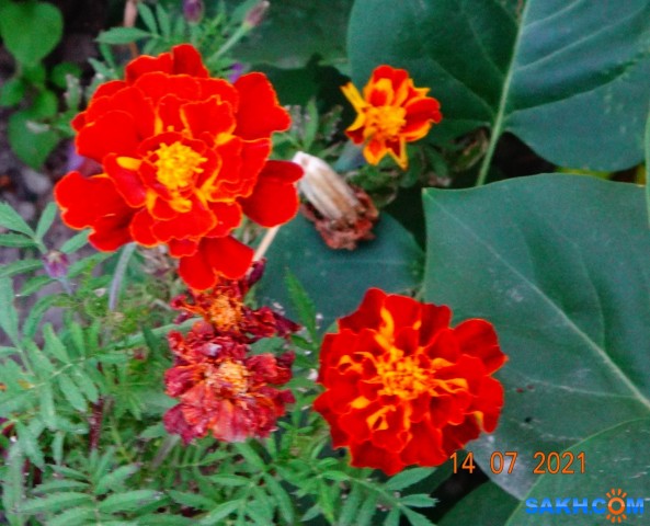 DSC03868

Просмотров: 516
Комментариев: 0