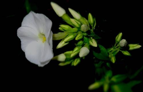 thumb_DSC04277_1024
Фотограф: Сергей Буркацкий

Просмотров: 618
Комментариев: 0