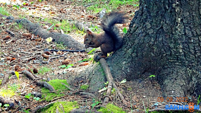 DSC03141
В парке.

Просмотров: 447
Комментариев: 0