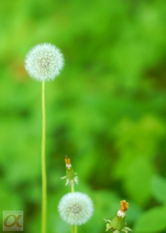 ***
Фотограф: Сергей Буркацкий

Просмотров: 1175
Комментариев: 0