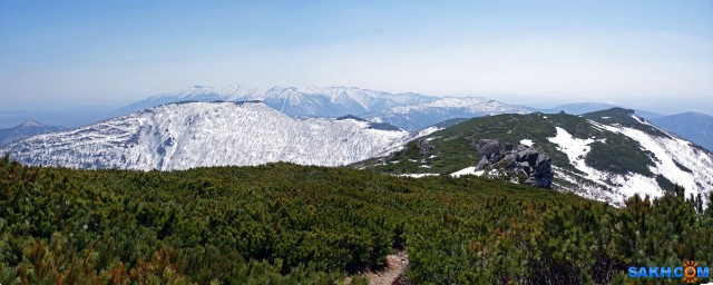 135-пан-к

Просмотров: 836
Комментариев: 0