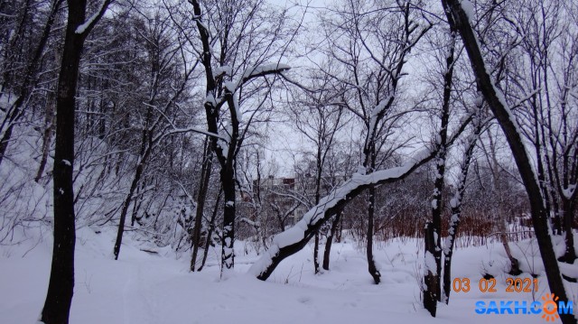 DSC09907

Просмотров: 470
Комментариев: 0