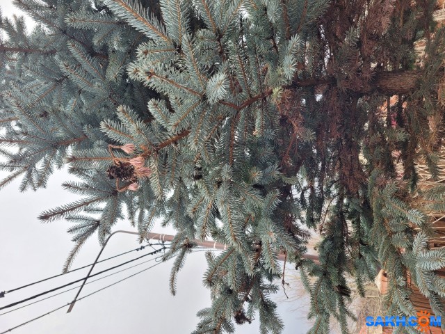 20211212_150614