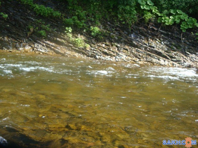 DSC03787

Просмотров: 4054
Комментариев: 0