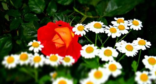 DSC00467
Фотограф: Сергей Буркацкий

Просмотров: 467
Комментариев: 0