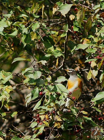 ***
Фотограф: Сергей Буркацкий

Просмотров: 1290
Комментариев: 0