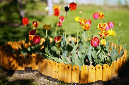 DSC05438
Фотограф: Сергей Буркацкий

Просмотров: 529
Комментариев: 0