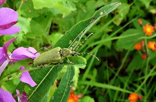 DSC00210
Фотограф: Сергей Буркацкий

Просмотров: 372
Комментариев: 0