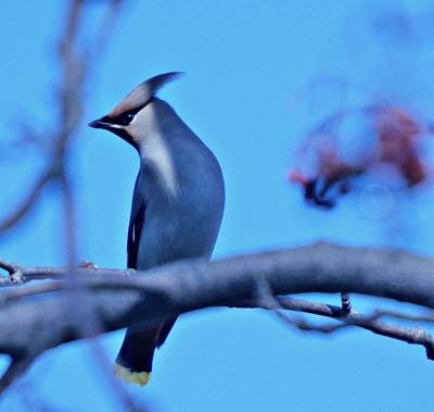 Фото 987
Фотограф: Сергей Буркацкий

Просмотров: 346
Комментариев: 0