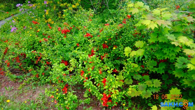 DSC09832

Просмотров: 275
Комментариев: 0