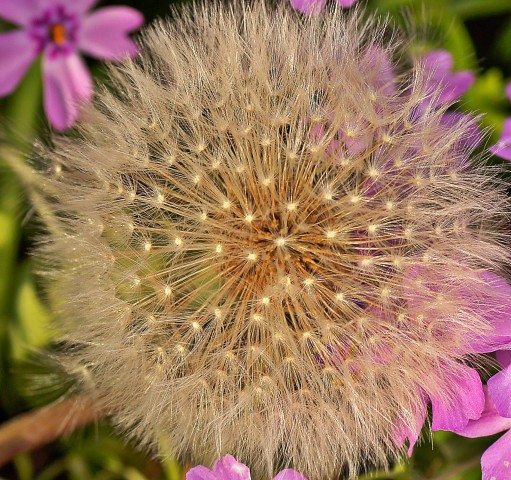 ***
Фотограф: Сергей Буркацкий

Просмотров: 583
Комментариев: 0