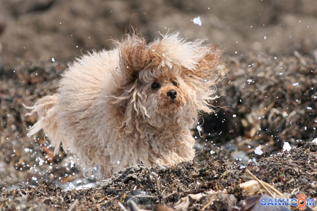 Мелька

Просмотров: 1978
Комментариев: 3