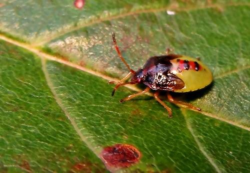 DSC03638
Фотограф: Сергей Буркацкий

Просмотров: 471
Комментариев: 0