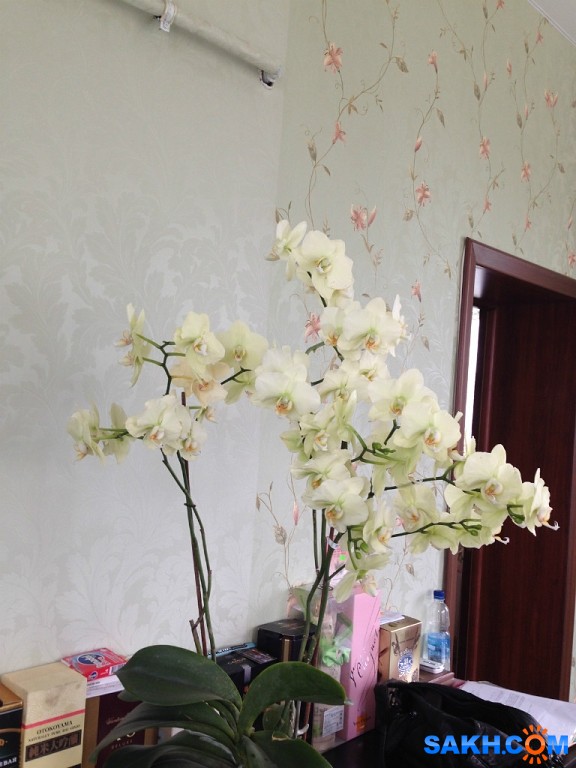 изображение_2020-12-07_161918

Просмотров: 660
Комментариев: 0