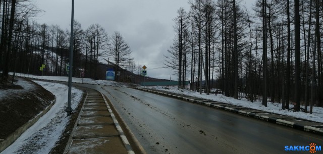 Дорога на ГВ. Поворот на Динамо 1.