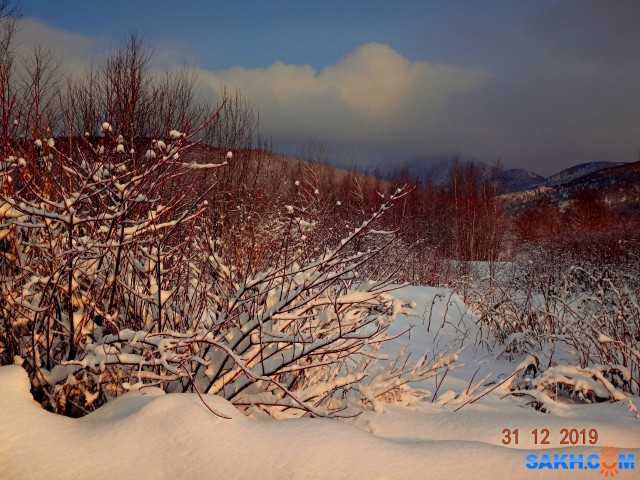 DSC09546

Просмотров: 723
Комментариев: 0
