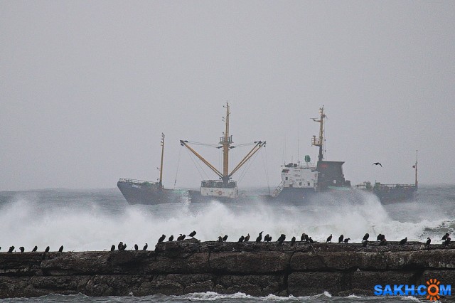 Море.
Фотограф: 7388PetVladVik

Просмотров: 5130
Комментариев: 0