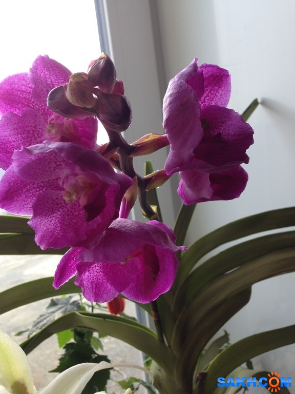 изображение_2020-12-07_162156

Просмотров: 908
Комментариев: 0