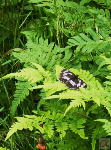 ***
Фотограф: Сергей Буркацкий

Просмотров: 666
Комментариев: 0