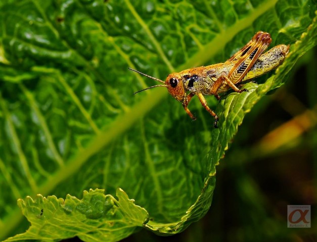 ***

Просмотров: 664
Комментариев: 0