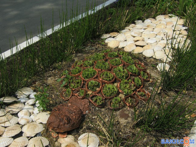  В зоопарке Южно-Сахалинска
Фотограф: mrnsin

Просмотров: 540
Комментариев: 0