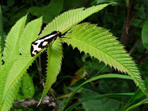 DSC00208
Фотограф: Сергей Буркацкий

Просмотров: 376
Комментариев: 0