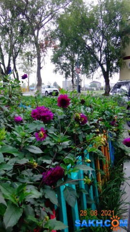 DSC05223

Просмотров: 517
Комментариев: 0