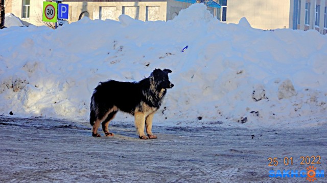 DSC08345

Просмотров: 617
Комментариев: 0