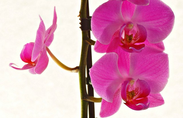 ***
Фотограф: Сергей Буркацкий

Просмотров: 964
Комментариев: 0