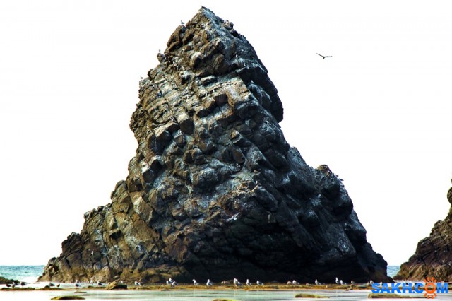 IMG_6967
Фотограф: vikirin

Просмотров: 1907
Комментариев: 0