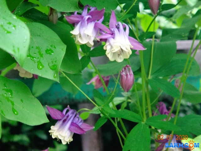 DSC02334

Просмотров: 424
Комментариев: 0