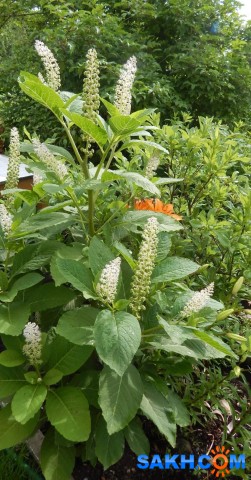 image (1)

Просмотров: 2135
Комментариев: 0