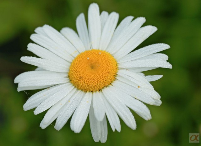 ***

Просмотров: 1170
Комментариев: 0