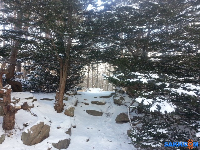 20170110_134042jpg.0