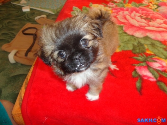 DSC00893

Просмотров: 2237
Комментариев: 1