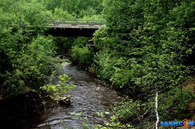 DSC09356
Фотограф: vikirin

Просмотров: 2232
Комментариев: 0