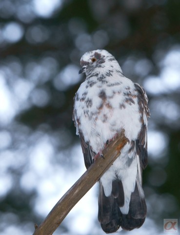 ***
Фотограф: Сергей Буркацкий

Просмотров: 1343
Комментариев: 4
