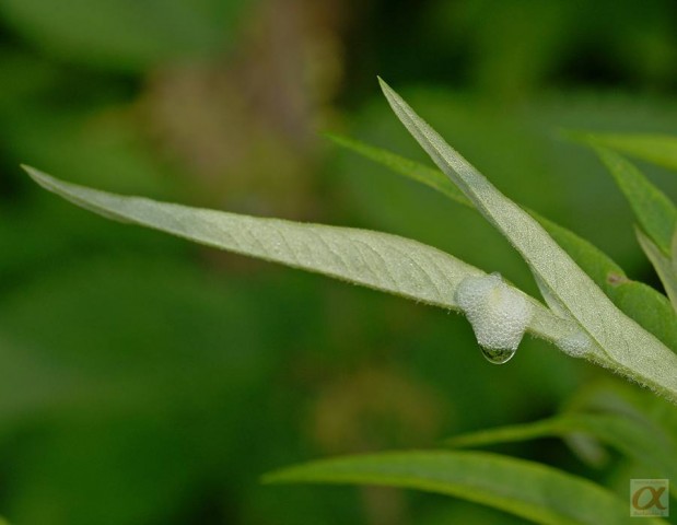 ***

Просмотров: 911
Комментариев: 0